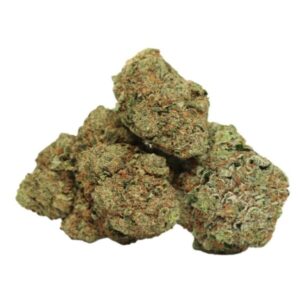 Critical Kush – THC: 18 %