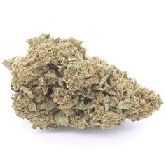 Pfadfinderinnen-Kekse – THC: 25 %